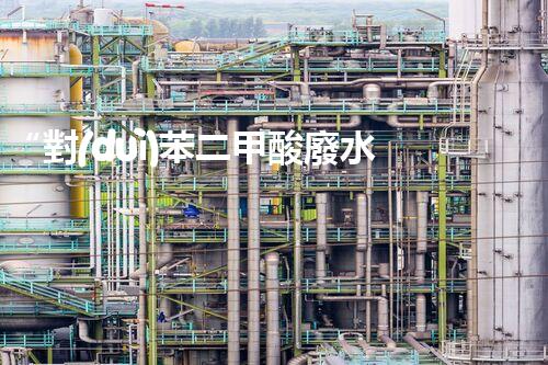 “對(duì)苯二甲酸廢水處理，綠色創(chuàng)新引領(lǐng)環(huán)保新篇章”